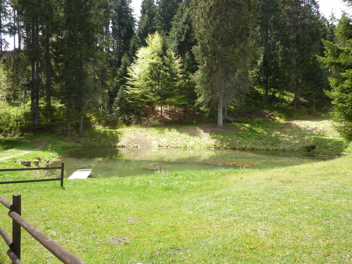 Appartment Leo Schönwalde Zewnętrze zdjęcie